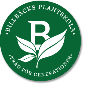billbacks logo top