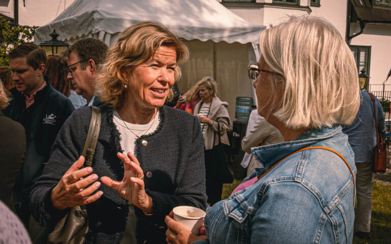 250624 Almedalen-12